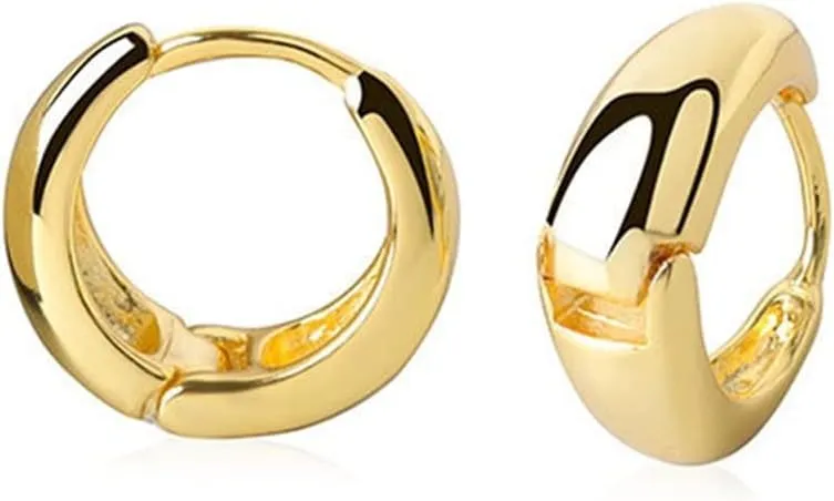 Sterling Women's Hoop Simple Geometric Party Jewelry Earrings